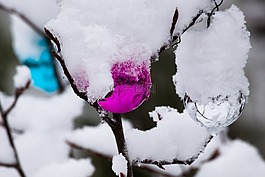 新西蘭,christbaumkugeln,冬天