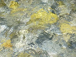 水,過獨(dú)身生活,水域