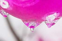 一滴水,圣誕飾品,冬天