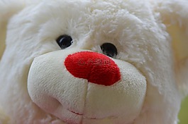 熊,泰迪熊,毛絨