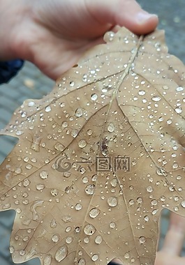 雨,工作表,性質(zhì)