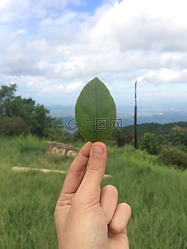 秋天的落葉,視圖,手