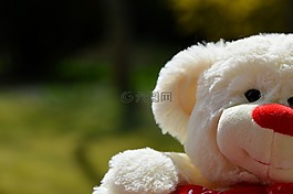 熊,泰迪熊,毛絨