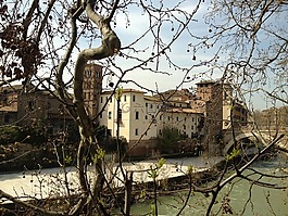 岛,tiber,分支机构