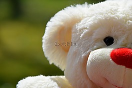 熊,泰迪熊,毛絨