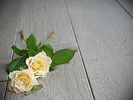 玫瑰,束玫瑰,花束