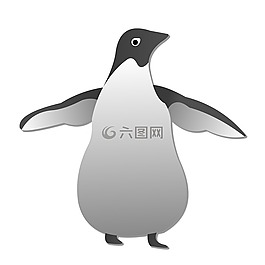 企鵝,動物,鳥