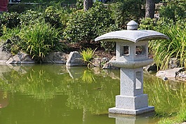 花園,水,公園
