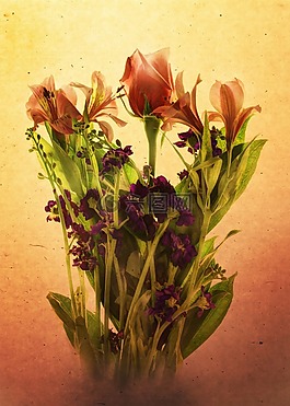 鮮花,花的,開花