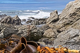 凱庫拉,凱庫拉海岸,南港島