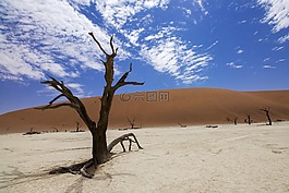 蘇斯,deadvlei,沙漠