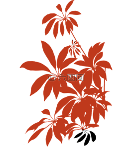 植物群,观赏植物,公寓