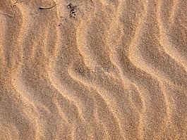 沙,海灘,漣漪