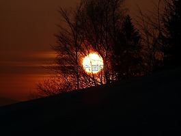 冬季,雪,太陽