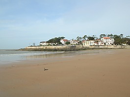 海灘,沙,水