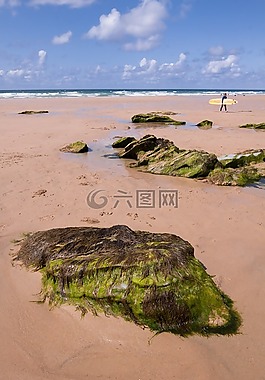 海岸,海灘,石頭