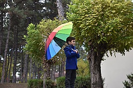 樹(shù),性質(zhì),在戶(hù)外