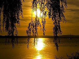 景觀,水,黃昏