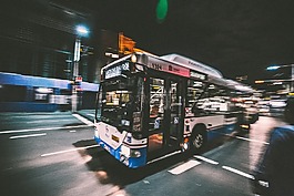 總線,交通,街道