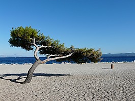海灘,海,海岸線