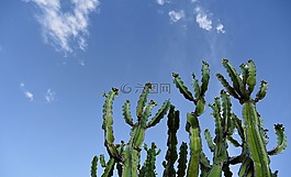 天空,云,藍(lán)色