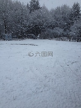 冬天,雪暴,冷