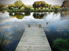 橋,水,湖