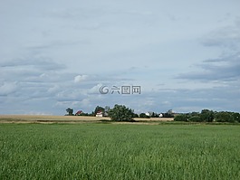 景觀,字段,村
