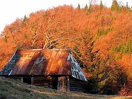 秋,山,棚屋