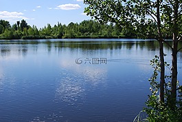 自然,池,水