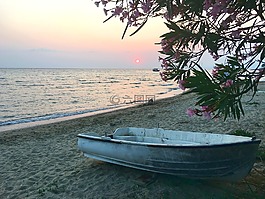 海灘,日落,海