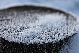 冰晶,行李箱,樹