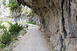 山羊,山,行走