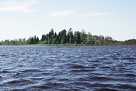 湖,水,樹