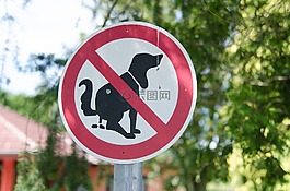 狗,禁令,登錄