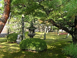 日本,花园,秋季