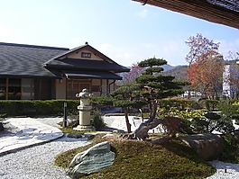 日本,茶館,花園