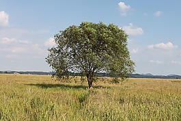 sihwa 湖,大韓民國,秋季