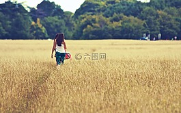 原野,植物,作物