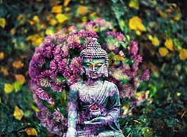 佛,花,佛教