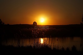 太陽,橙,橙色太陽