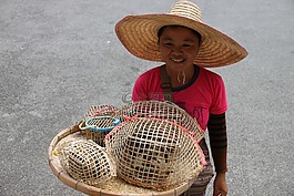 泰國,女人,鳥