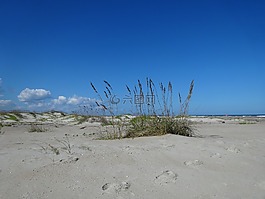 海洋,發(fā)送,海灘