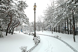 南城,哈納姆市政廳,冬天風景