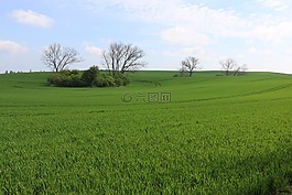 性質(zhì),字段,春天