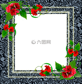 框架png,幀照片,框架的花