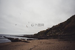 海灘,沙,海洋