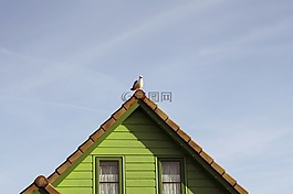 首頁,海鷗,建設(shè)