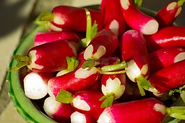 萝卜,菜园,蔬菜