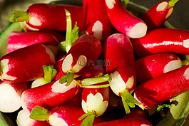 蘿卜,蔬菜,菜園